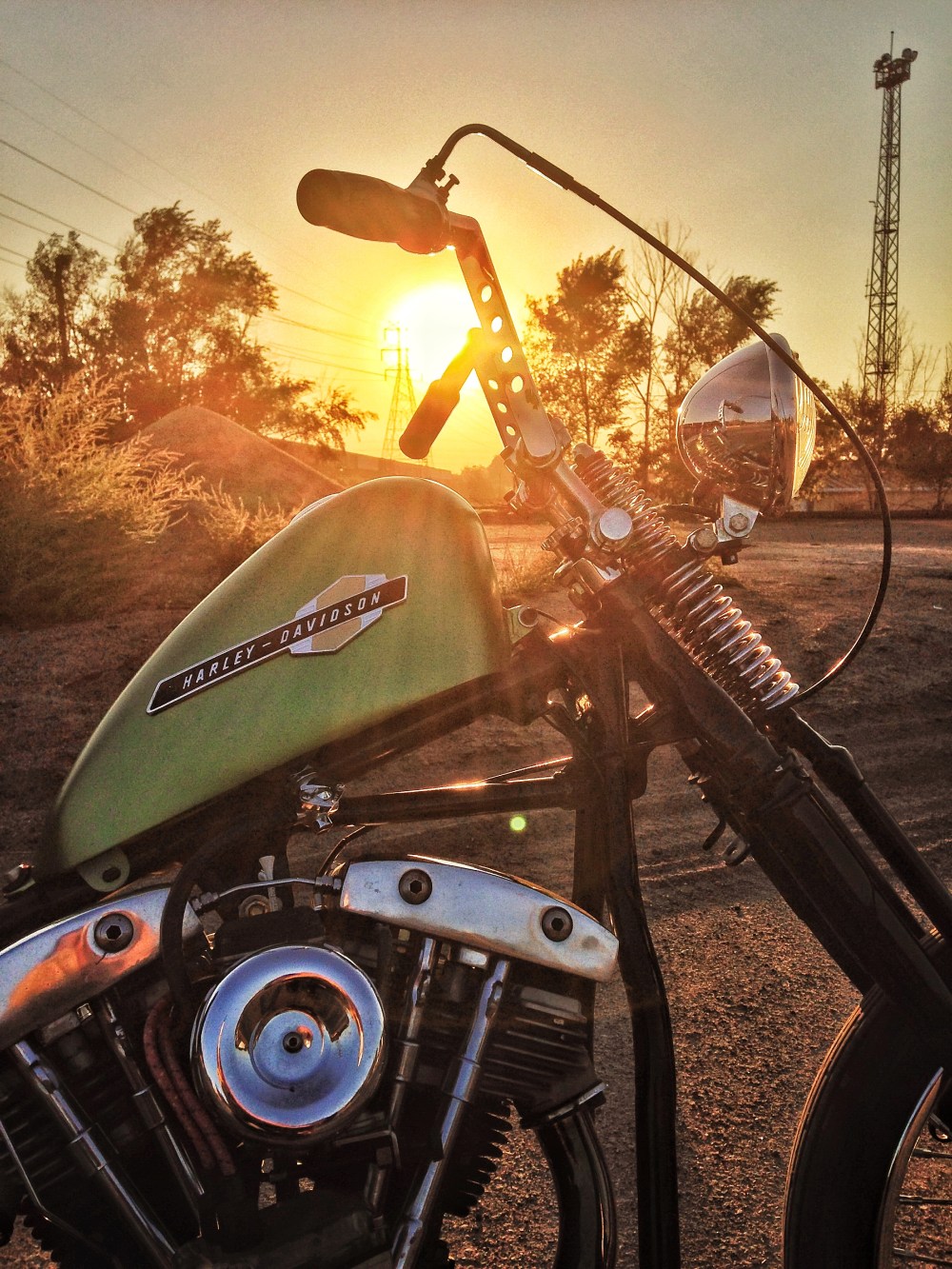 Harley Shovelhead Holy Z Bars